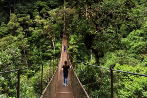 Boquete - Tour de puentes colgantes