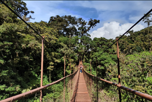 Boquete - Tour de puentes colgantes - Imagen 5