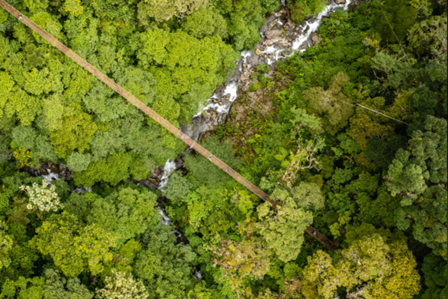 Boquete - Tour de puentes colgantes - Imagen 2