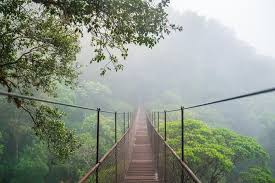Boquete - Tour de puentes colgantes - Imagen 4