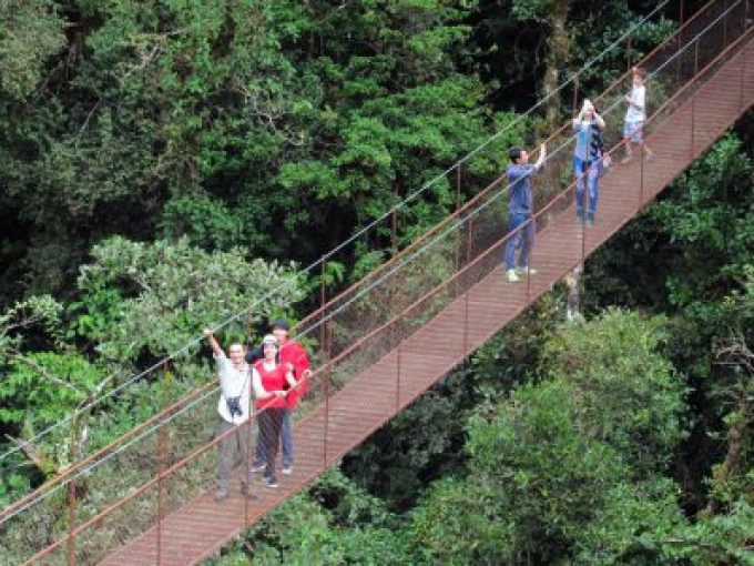 Boquete - Tour de puentes colgantes - Imagen 3